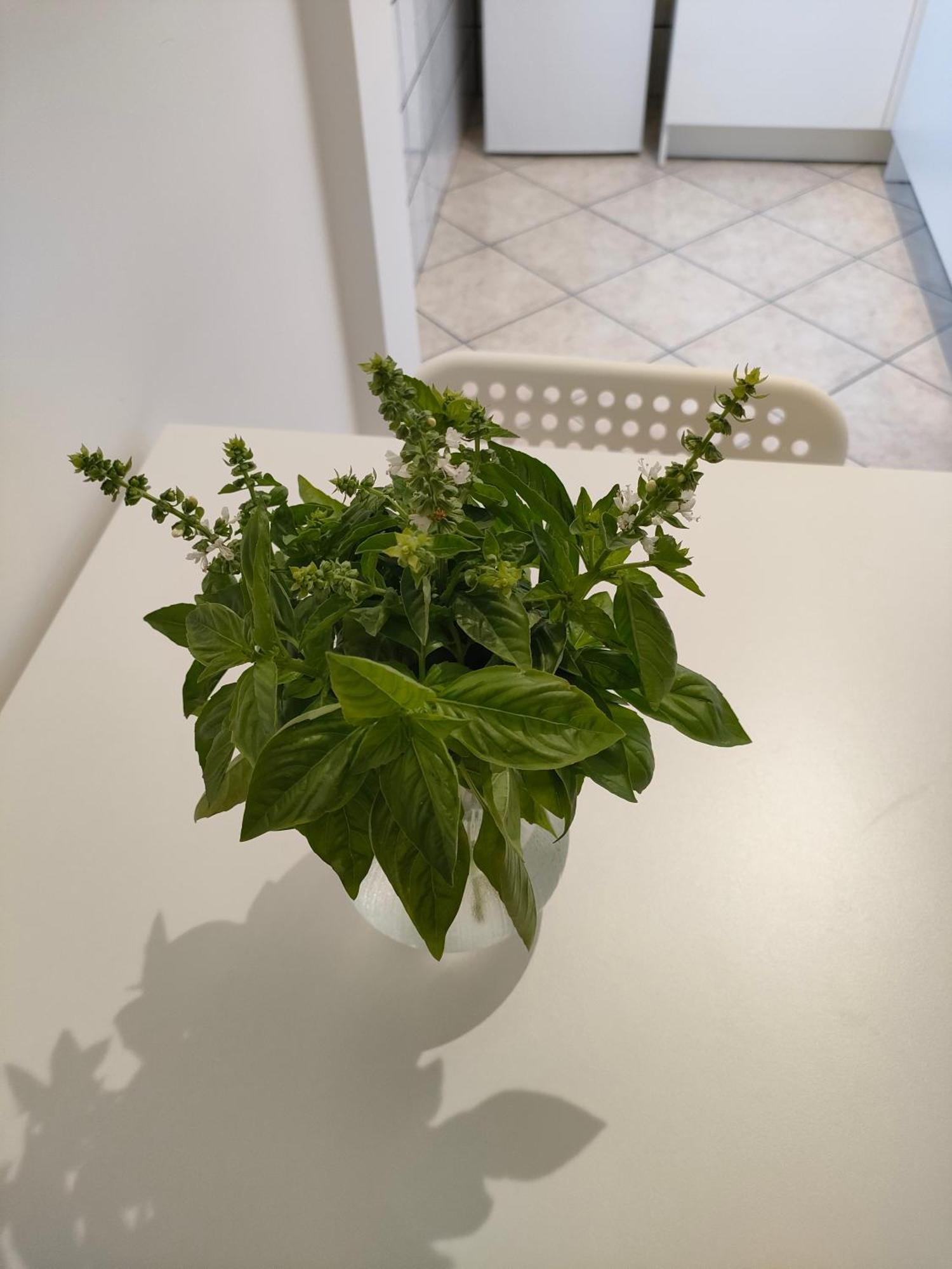 Appartement Lilla Housing à Castellammare di Stabia Extérieur photo